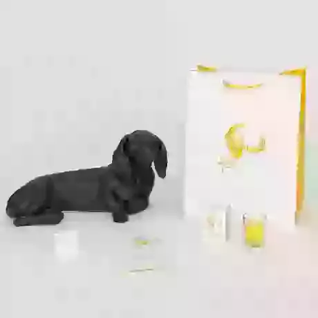 Dachshund Urn - Short Hair